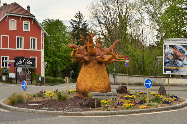 Arbre du pharmacien (Mulhouse)