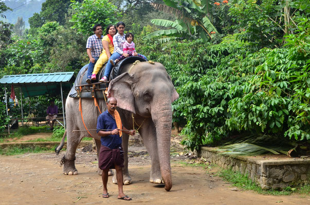 Promenade à dos d'éléphant