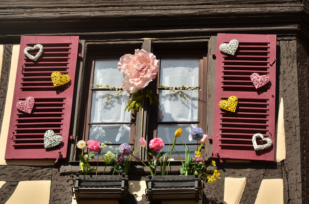 Fenêtre fleurie (Colmar)
