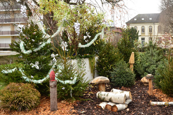 Décor d'hiver (Saint-Louis)
