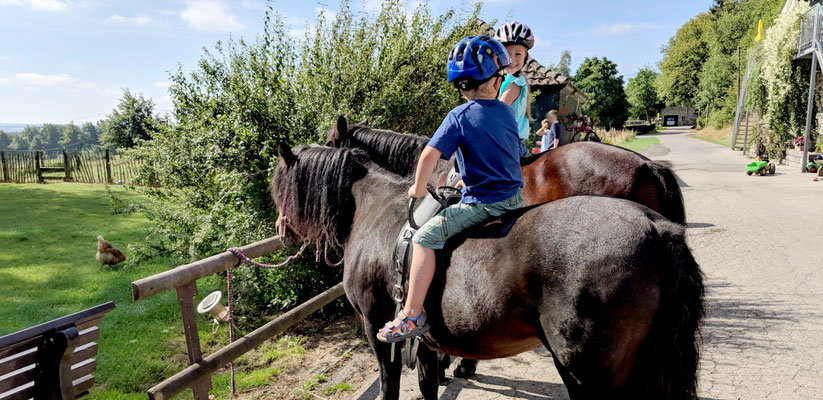 reiten