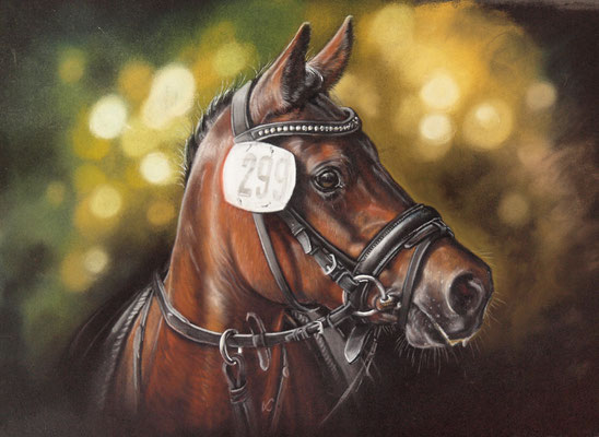 Reitpony "Zöthens Colina" in Pastell auf Pastelmat