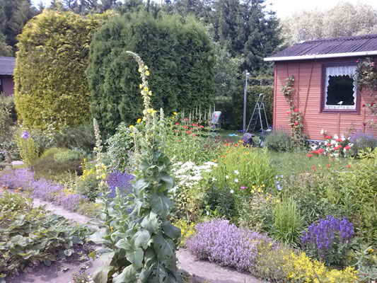 Der Garten Meiner 80 Jahrigen Mutter Jetzt Will Sie Ihn Abgeben