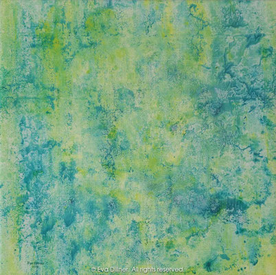 C350 62x62cm ©2014 Eva Dillner