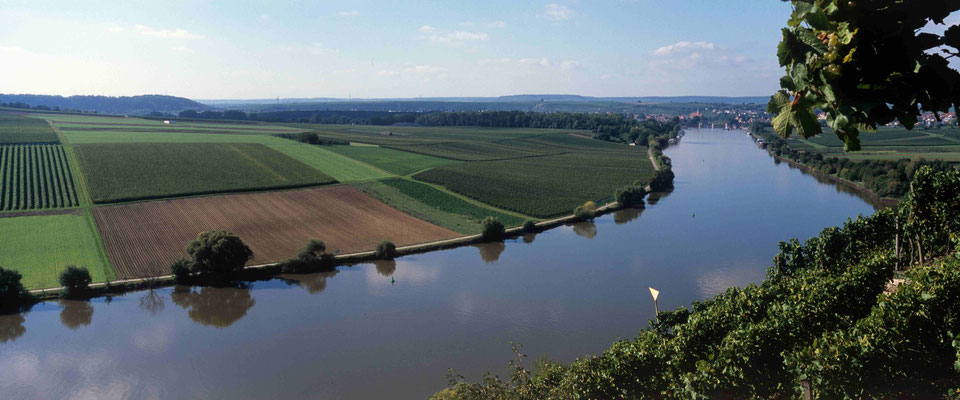 1- Felder am Neckar, Landwirtschaft