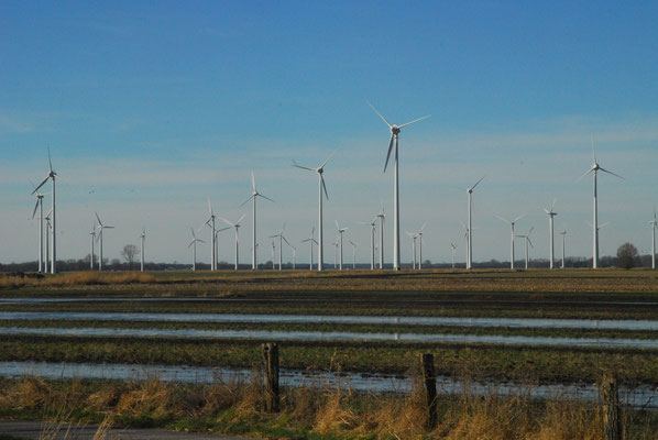 121 - Elbmarschgebiet mit Windpark im Hintergrund an der Elbe in Norddeutschland. 