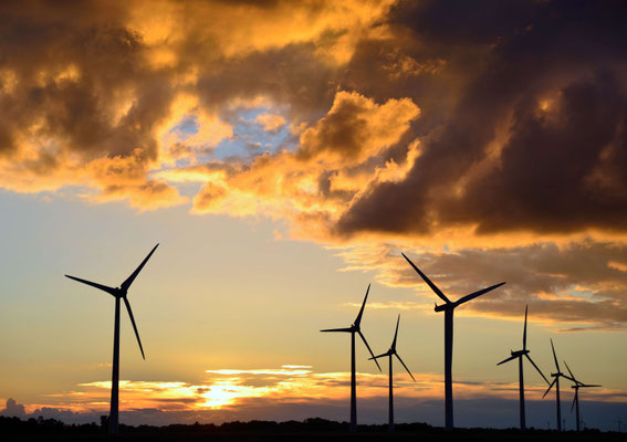 146 - Windräder vor stimmungsvollem Abendhimmel und gelb gefärbten Wolken. 