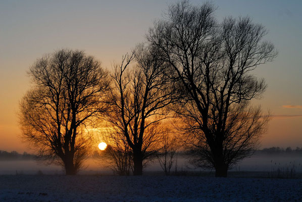 18- Bäume bei Sonnenaufgang im Winter, Schnee