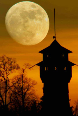 22 - Gschwend in Baden Württemberg Hagbergturm mit Vollmond.