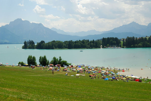 3- Forggensee, Allgäu, Füssen, Alpen, Bayern, Alpenpanorama