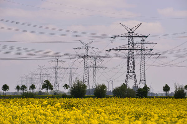 3- Stromleitungen hinter Rapsfeld