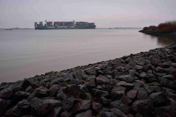 Containerschiff Elbe