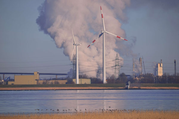 116 - Brunsbüttel - die Kulisse : WIndräder vor einem Fabrikschlot.