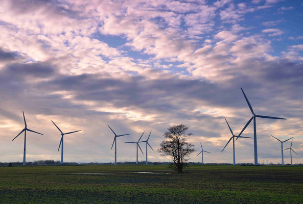 45 - Windpark Oederquart, Windrad, Windräder, Windkraftanlagen, Niedersachsen, Germany, Deutschland