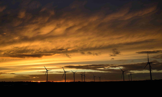 75 - Windräder am Horizont, Niedersachsen