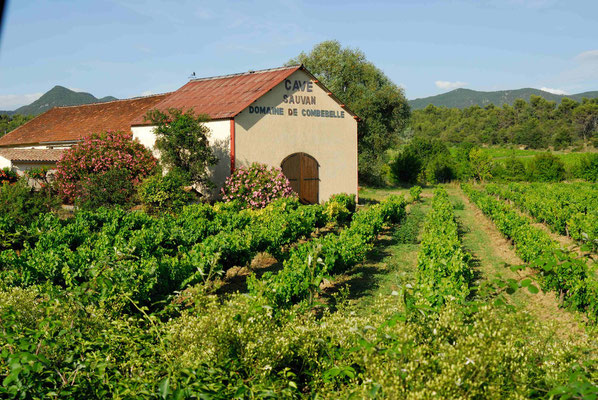 Frankreich, Weingut