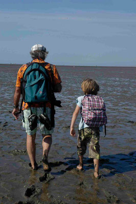 32- Vater und sohn beim Wattwandern an der Nordsee