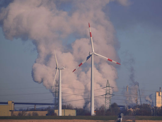 117 - Windräder vor einer Dampfwolke, Elbe bei Brunsbüttel.