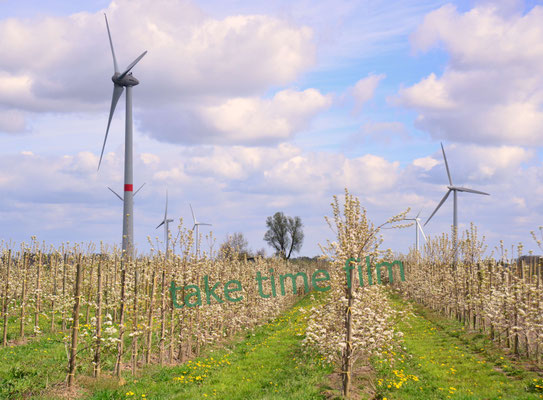 60 - Windräder mit Apfelbäumen in der Blütezeit.