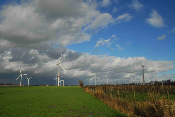 110 - Windpark Oederquart, Windrad, Windräder, Windkraftanlagen, Niedersachsen, Germany, Deutschland