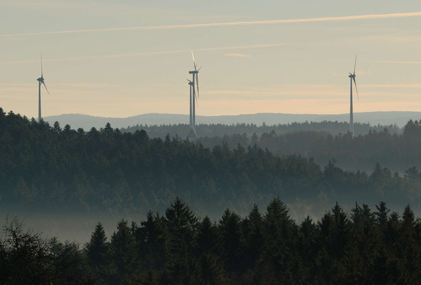 39- Wald im Nebel, Windräder