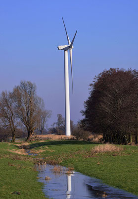 115 - Windrad in der Elbmarsch bei Wischhafen in Niedersachsen.