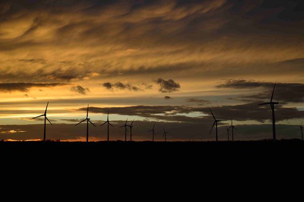 71 - Windpark Oederquart, Windrad, Windräder, Windkraftanlagen, Niedersachsen, Germany, Deutschland