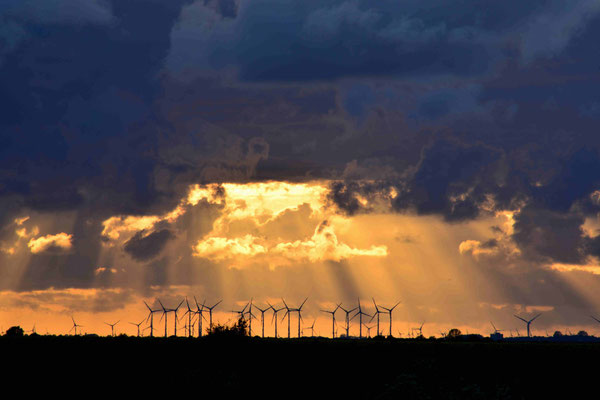 74 - Windräder am Horizont, Niedersachsen