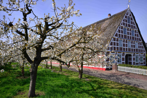 37- Haus in Norddeutschland