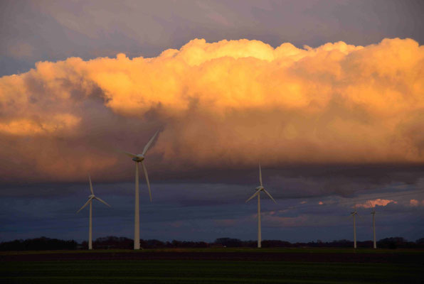 5- Windräder im Windpark Oederquart in Niedersachsen.