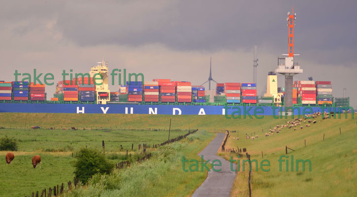 Riesige Containerschiffe scheinen durch die Wiesen zu fahren.