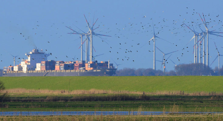 18- Windrad, Windkraftanlage, Windkraft, Windgenerator, Ökostrom, Schiff, Containerschiff, Elbe, Schleswig Holstein, Niedersachsen