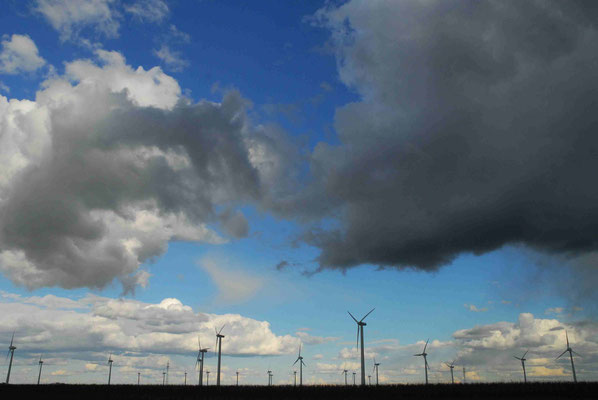 65 - Windpark Oederquart, Windrad, Windräder, Windkraftanlagen, Niedersachsen, Germany, Deutschland