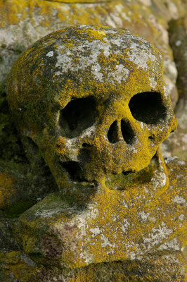 62- skull, Totenkopf mit Patina, Moos,, Friedhof, Tot