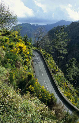 4- Straße Madeira Nonnental