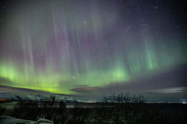 Seidig ziehen die Grünen Fäden in den Purpurnen Sternenhimmel