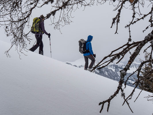 Keine üble Schneequalität bot der Abstieg Richtung Waldweid