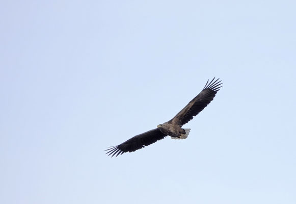 Ihn kümmerts nicht, ob der zu warmen Temperaturen in diesem Winter
