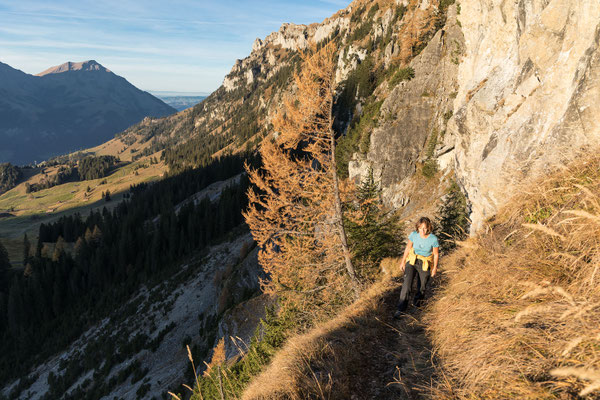 Der Weg ist gut, aber ordentlich ausgesetzt und traversiert unter dem Sattelhorn zur Schlafegg zurück