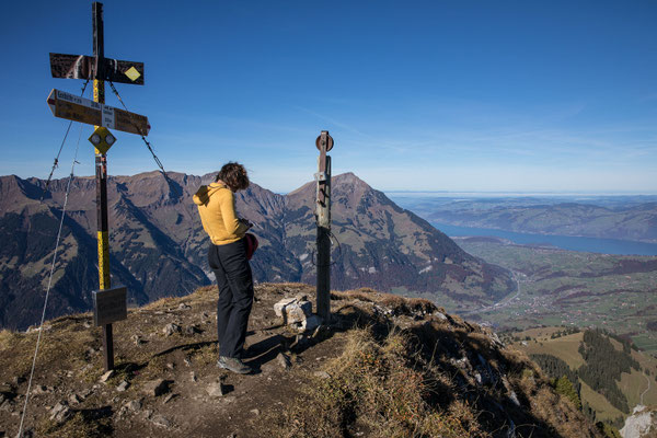Blick vom Gehrihore zum Niesen und Thunersee