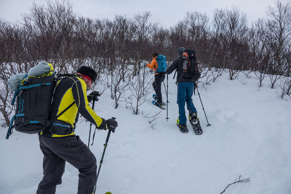 Unsere Schneeschuhläufer kommen einfacher durch das Gestrüpp als wir Skitourenfahrer,...  