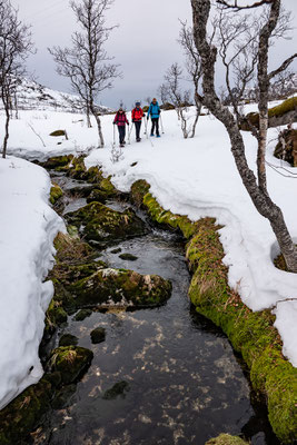 Wir beenden unsere Rundtour diesem Bach folgend, er muss ja irgendwo bei unserem Mietwagen in den Fjord fliessen