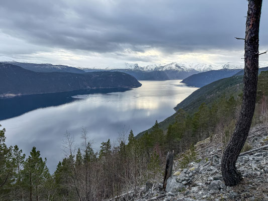 Blick auf den Sognefjorden, wir umrunden den lokalen Flughafen Sogndal Haukasen, welcher auf 500 Metern über dem Fjord liegt. So haben wir einen guten Tiefblick und kommen mit wenig Schneekontakt über unsere Runde