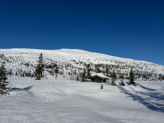 Erster Schönwettertag nach 19 Tagen auf norwegischem Staatsgebiet und eine ausreichende Schneelage bis zum Startpunkt unserer Tour auf 100 Meter hinunter 