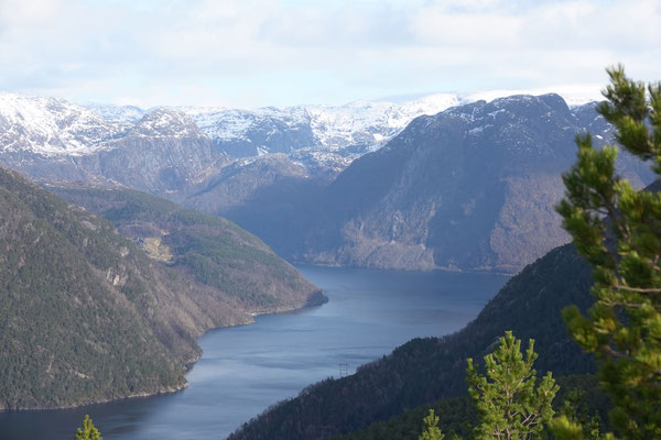Stattdessen gebe ich mich mit dem knapp 600 Meter hohen Daurmalshaugen zufrieden und geniesse den tollen Blick auf den Maurangerfjorden