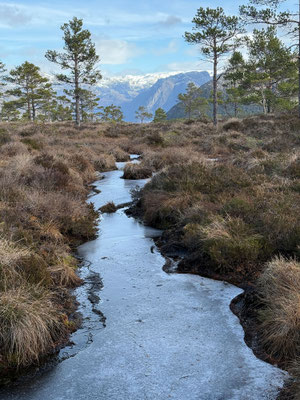 Der Weg ist meist spiegelglatt und somit kaum begehbar, aber Schnee ist weitherum keiner in Sicht