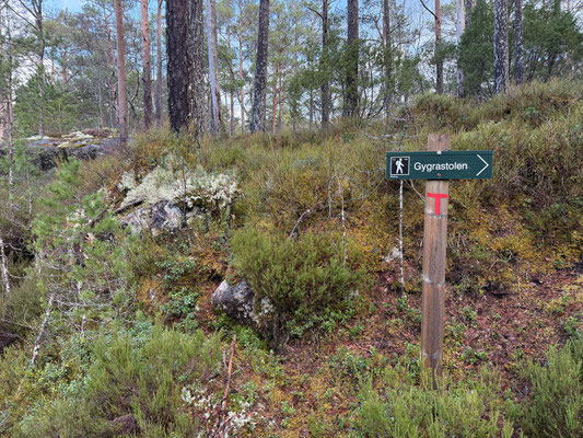 Den Gygrastolen habe ich als Skitour geplant, heute wird es eine erste Wanderung bei ganz ordentlichen Bedingungen