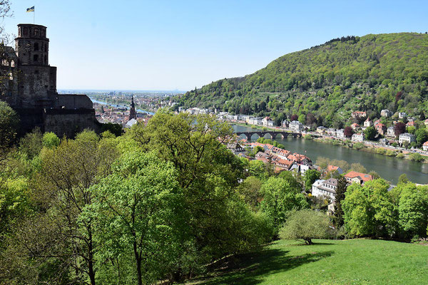 Vue générale    -    Eidelberg est contruit sur les 2 rives du Neckar, un des plus importants affluents du Rhin