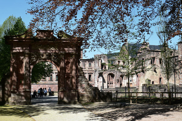 Le Château d'Eidelberg un château fort du 13ème siècle  (Château en grès rouge partiellement en ruines)