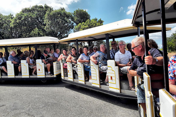 Jeudi 5 juillet : A bord du petit train de Collioure
